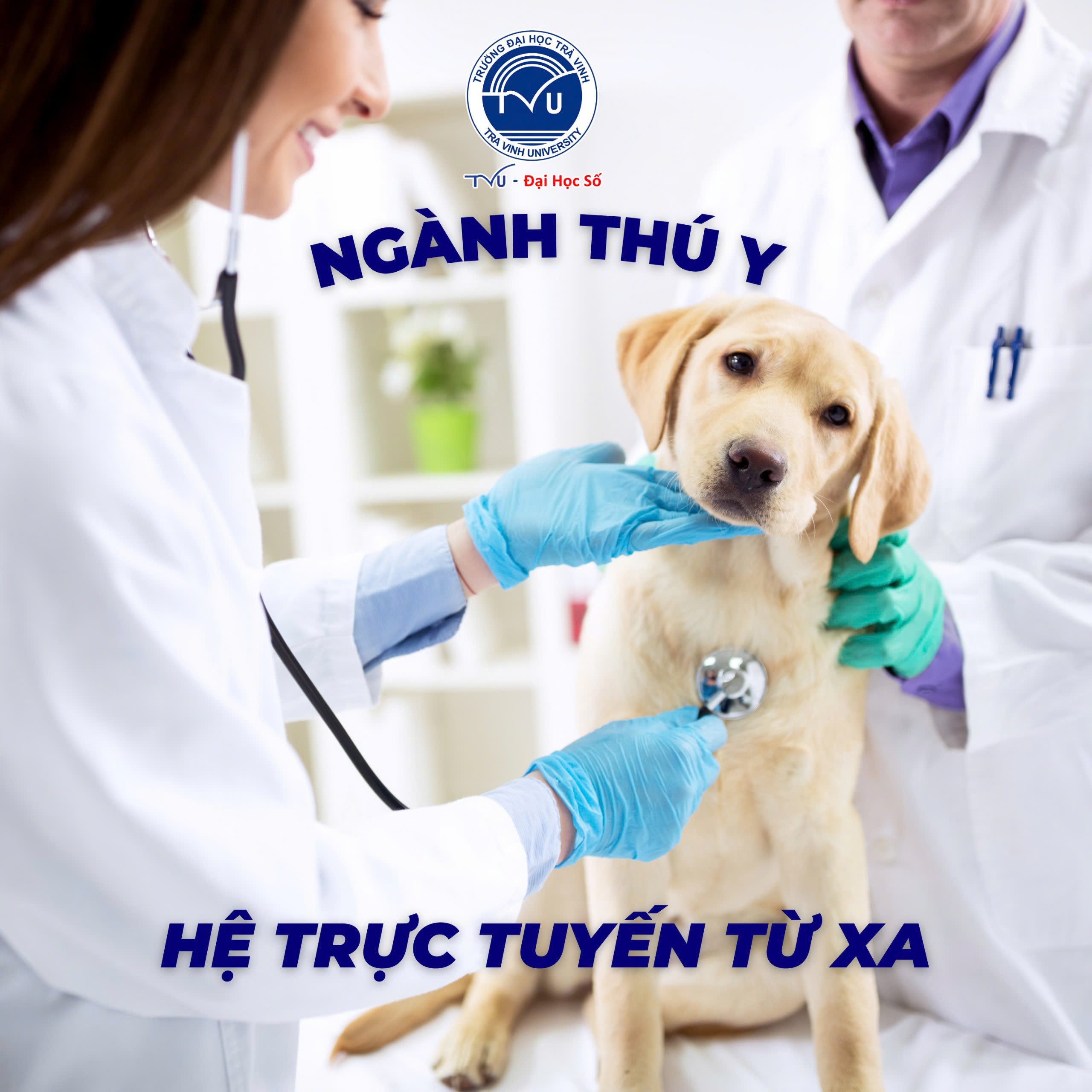 Xét Tuyển Ngành Thú Y Hệ Đào Tạo Trực Tuyến Từ Xa TVU - Chương Trình Đào Tạo Chất Lượng 2025